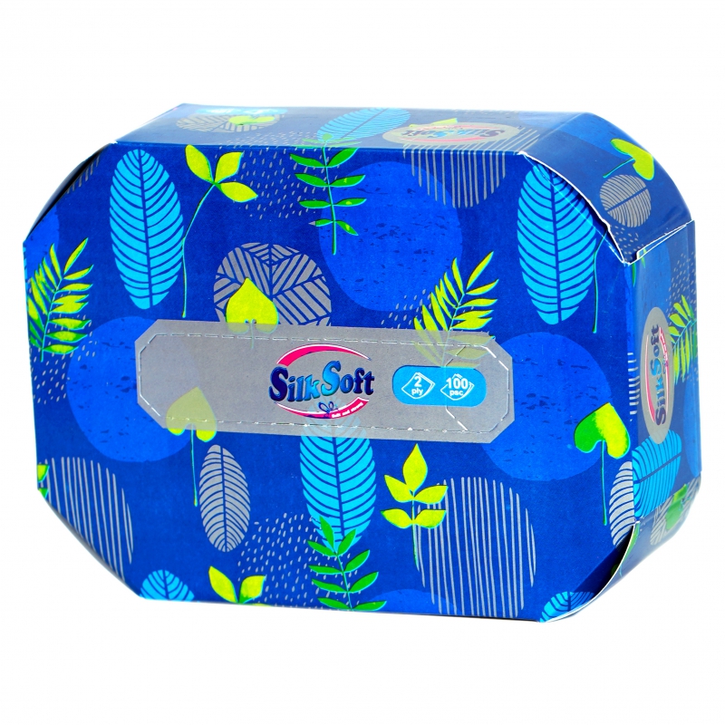 Անձեռոցիկ Silk Soft 100հտ 2շ 0087 Ութանկյուն 2